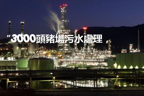 “3000頭豬場污水處理，綠色環(huán)保新篇章！”